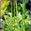 수원한의원 이미지