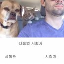 삼일자동차운전전문학원 이미지