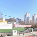 실내체육관 앞 횡단보도 이미지