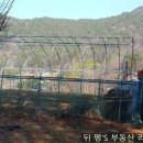 철마공인중개사사무소 이미지