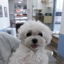 광교 우리들동물병원 이미지