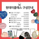 여수교육지원청 | 여수공방, 아르떼드로잉 : 제스모나이트 친환경 화분 만들기 원데이클래스 (반려식물, 플랜테리어)