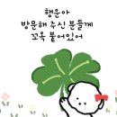 그린드라이크리닝 이미지