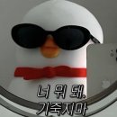 데일리라이트 | 만년형 해빗트래커, 습관기록노트로 무너진 루틴 되찾는 법 (데일리트래커 라이트 후기)
