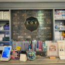 로이(Loy) 에스테틱