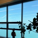 제부도해상케이블카 주식회사 | 4살 아이와 서해랑 제부도 해상 케이블카 탑승 후기(제부도 여행)