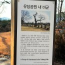 유당공원 내 비군 이미지