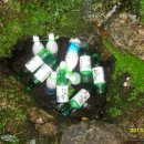 영식농장 이미지