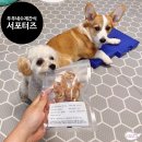 푸푸네 수제간식 이미지