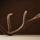 금정경희한의원 이미지