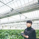 주식회사 그린팜스 이미지