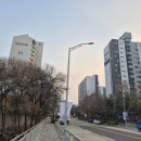 (임장후기) 분당 야탑동 구축 아파트 다녀옴 (장미마을, 매화마을)