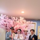 하모니카 주간 이미지