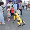 문화예술의거리대흥동상점가 이미지