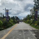 가을탐방(성인) | 세종시티투어버스, 6세 가을 2층버스 처음 타본 후기 (대통령기록관/세종수목원/이응다리)