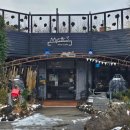 미스틱3도 | [제주 카페] 제주 서쪽 동백 명소🌺미스틱3도 내돈내산 후기 (1월 23일 개화 상황)