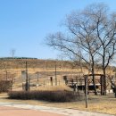 동의한방촌 이미지