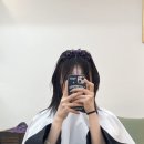 보하비 이미지