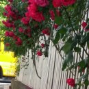 일곡초교 이미지