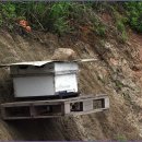 부인농원 이미지