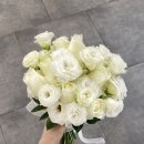 빵실스튜디오 네이버블로그