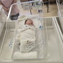 평택 더네이처 산부인과 제왕절개 다인실 2일차 후기