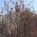 옥향슈퍼 이미지