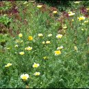 우면산6-6 이미지