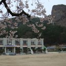 아산초등학교 이미지