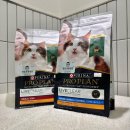 정샘동물병원 이미지