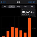 UR(파주시)-[구름다리길]-하-2 | 4월, 춘하추동