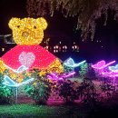 연꽃으로 물든 궁남지…부여 &#39;서동연꽃축제&#39; 이미지