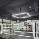 명성복싱체육관 이미지
