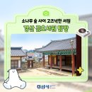 경산시 블로그 기자단:: 소나무 숲 사이 고즈넉한 경산 금호서원🍃