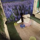 은평농장 | 이마트 문화센터 은평점 찾아가는 메뚜기 체험교실 후기