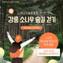 아리바우길 이미지