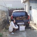 영이용소 이미지