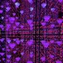 모코(MOCO) 이미지