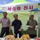 제17회 순천명품 월등 복숭아 체험행사 | 제21회 순천명품 월등복숭아 체험행사 성황리에 마쳐