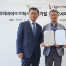 와이산업개발
