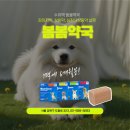 펫사랑약국 이미지