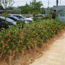 읍내1통 이미지