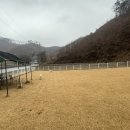 라지독스 이미지