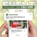 샤인커머스
