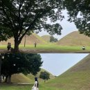 태종로1(남) | [경주] 2박 3일 여행코스 추천ㅣ뚜벅이도 가능한 경주 3일차 일정