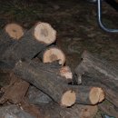 자작자작캠핑장 이미지