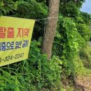 정당농장 이미지