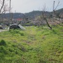 용리농장 이미지