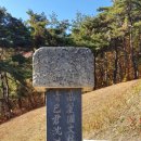 청송심씨 묘역 | 청송심씨 시조묘역