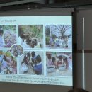 배재대학교부속유치원 이미지